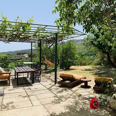 Vila Temenia House Exteriér fotografie
